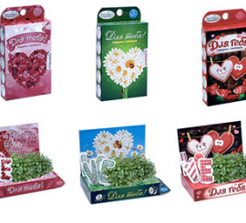 С 18 января в сети магазинов Fix Price появилась коллекция живых открыток Ко Дню Влюбленных — «Для Тебя!»
