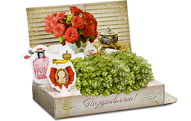 Живая открытка «Букет красных роз»